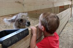 Making Friends