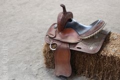 Saddle